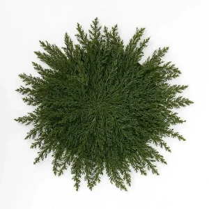 Juniper Christmas Placemat